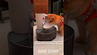 Cat Drinking 😺 shorts ytshots shortsfeed viralvideo catlover trending trendingshorts [upl. by Poock319]