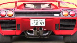 OHNISHI HEAT MAGIC LAMBORGHINI DIABLO 「GTRTYPE TITAN MUFFLER」 SOUND [upl. by Aicul]