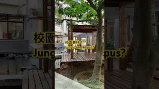 台科大校園內有叢林樹屋？Jungle on campus at the Taiwan Tech 叢林 jungle 台科大 ntust 校園 campus 馮輝文 烏龜池 [upl. by Aisinoid]