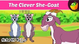 സൂത്രശാലിയായ ആട്  Clever She Goat  Jataka Tales  Magicbox Malayalam [upl. by Wells148]