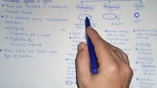 Bacterial Spores And Cyst  Exospore  Endospore  Class 11 [upl. by Matthia]