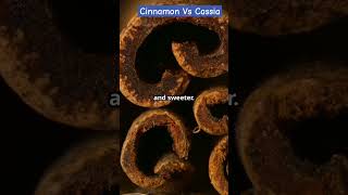 Cinnamon Vs Cassia  Farm Modernization  How to Find True Cinnamon viral shorts facts [upl. by Adallard]