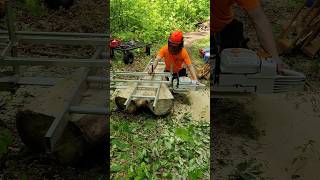 Milling beautiful poplar with Alaskan chainsaw mill [upl. by Nedyaj]