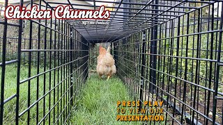 Chicken Chunnel Product Video3 [upl. by Aitnas]