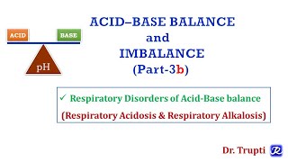 4 Respiratory Acidosis amp Respiratory Alkalosis  Acid Base Balance Biochemistry [upl. by Yard]