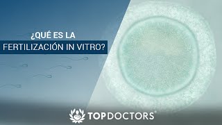 ¿Qué es la fertilización In Vitro [upl. by Slack]