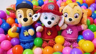 Paw Patrol in hindi  Paw Patrol mighty pups  Youtube shorts [upl. by Odrick]