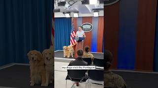 My dogs visit the Pentagon [upl. by Ilyssa]