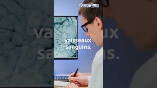 AVC Les Facteurs de risque de lAccident Vasculaire Cérébral AVC neurologie cardiologie [upl. by Idroj609]