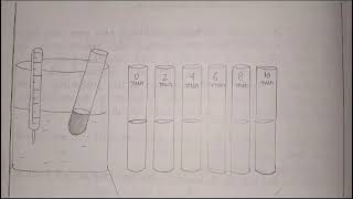 experiment 8 activity of salivary amylase on starch biology class 12th [upl. by Aelber]