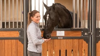 Trainingsopbouw jong paard  Anne en Lotte Meulendijks [upl. by Dupaix386]