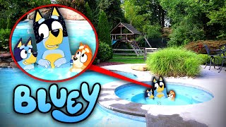 BLUEY amp BINGO POOL PARTY IN REAL LIFE BLUEY MOVIE [upl. by Roseanna]