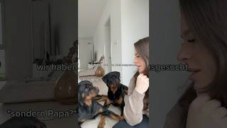 Meine Hunde hassen mich youtubeshorts [upl. by Eniamat]