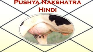 Pushya NakshatraHindi [upl. by Wileen]