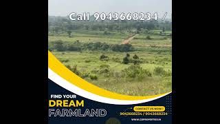 farmland near denkanikottai  agricultural land for sale in hosur near denkanikottai  2024  6 [upl. by Edals]