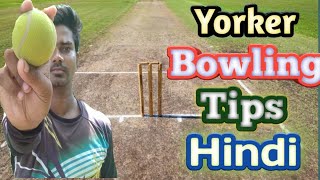 How To Bowl A Perfect Yorker In Cricket  Yorker Bowling Tips In Cricket [upl. by Sisi]