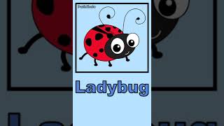 Amazing Insect Names  Learn 5 Name of Insects for Baby and Toddler [upl. by Anirtek]