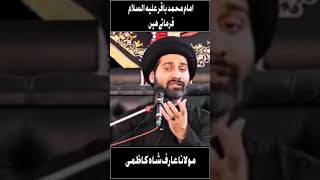 Allama Arif Hussain kazimi [upl. by Aicyle]