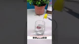 养花顺口溜要记牢园艺 分享 花草 好物推荐 养花 种植技术 科普 科普知识 好物分享 [upl. by Harts662]