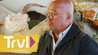 Going Daringly Dutch in Amsterdam  Bizarre Foods with Andrew Zimmern  Travel Channel [upl. by Onailime]