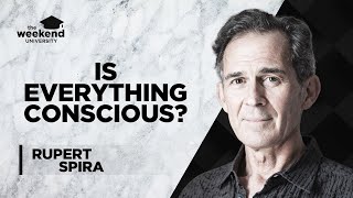 Nonduality and the Nature of Consciousness  Rupert Spira [upl. by Theo230]