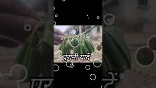 Gaon Ki Purani Yade yt shortvideo gaon [upl. by Furey556]