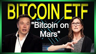 ELON MUSK ON BITCOIN ETF SPACE WITH CATHIE WOOD FULL X TWITTER SPACE AUDIO 01102024 [upl. by Korwin]