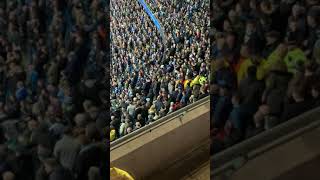 MCFC Fans Fighting in the Stands [upl. by Einon]