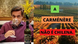 Carménère sua origem história e características [upl. by Ajiak]