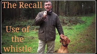 Dog Recall and the Effective Use of the Whistle [upl. by Jud]