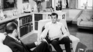 Dirk Bogarde interview [upl. by Engelhart]