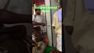 Indian Marriage traditional sannai youtubeshorts melam kavali marriage pelli melam reels [upl. by Vina633]