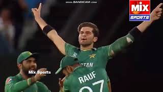 Pakistan VS Australia SemiFinal T20 World Cup 2021 Highlights cricket pakistan australia sports [upl. by Nrubliw]