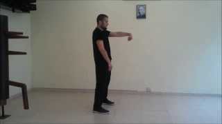 Wing Chun  Siu Nim Tao Gum sao  Tiu sao [upl. by Legge975]