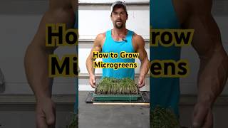 How to Grow Microgreens w GrowFriend Kit microgreens garden homestead vegetables seedstarting [upl. by Boony]