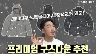 안 사도 알아두면 좋은 quot느낌있는quot 명품 구스다운amp덕다운 추천 [upl. by Montfort270]