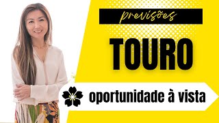 TOURO✨UM PROBLEMA BOM  OPORTUNIDADE DE MOSTRAR A QUE VEIO  Previsões do Tarot [upl. by Cullie]