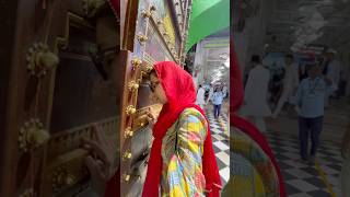 Dargah sharif mai ja k mila itna kuch🥰 kia ajmeer se shopping🛍️ shorts minivlog dailyvlog [upl. by Hcaz203]