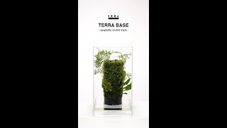 ADAview How To set up TERRA BASE Epiphytic Orchid Style TERRABASE [upl. by Heigl]