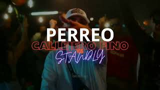 Perreo Callejero Fino vs Standly  BrunooDJ [upl. by Llekim]