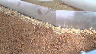 Cimbria Heid Gravity Separator in Wheat 2 [upl. by Suillenroc]