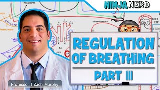 Respiratory  Regulation of Breathing Factors Influencing Rate and Depth Part 3 [upl. by Eirellav]