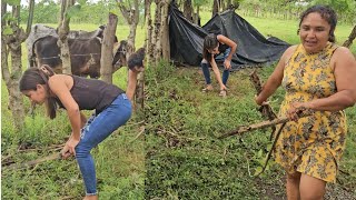 Maria se pone a chapear su terreno hoy solo las mujeres trabajan [upl. by Bessy]