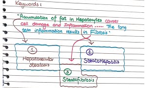 Alcoholic and Nonalcoholic Fatty Liver Disease  Morphology [upl. by Mott]