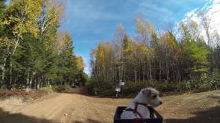 quotTrip to Nowherequot Memramcook Trails Mountain House Trail Lunch w Wendell [upl. by Dorsey]