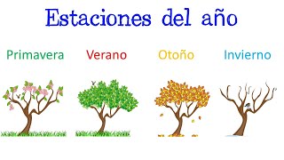 🌈 Estaciones del año 🌞  ¿Qué son  Características Fácil y Rápido  BIOLOGÍA [upl. by Sherrill]