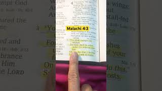 What will happen to sin and sinners holybible truthhurts life subscribe shorts love god [upl. by Aeet]