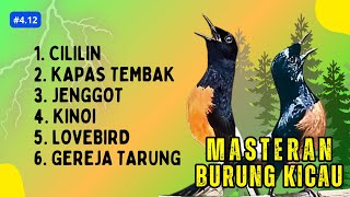 174 🔴 LIVE MURAI BATU MASTERAN CILILIN KINOI KAPAS TEMBAK GACOR DI SIANG HARI  MURAI JUARA [upl. by Nylirahs]