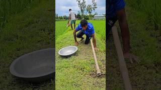 There were two boys while cutting the ground and then what they found [upl. by Morgen]