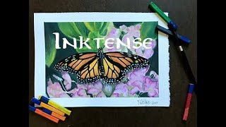 Inktense Butterfly Painting [upl. by Immaj]